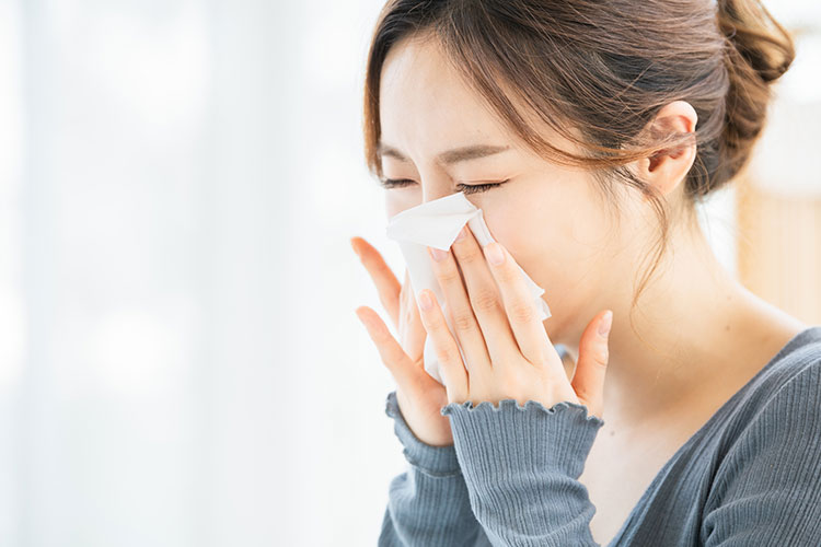 アレルギー性鼻炎（花粉症）について 