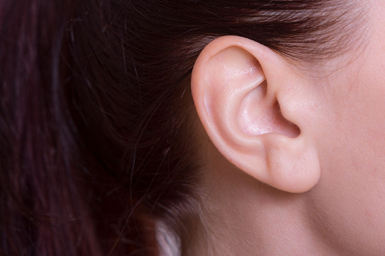 耳の症状について 